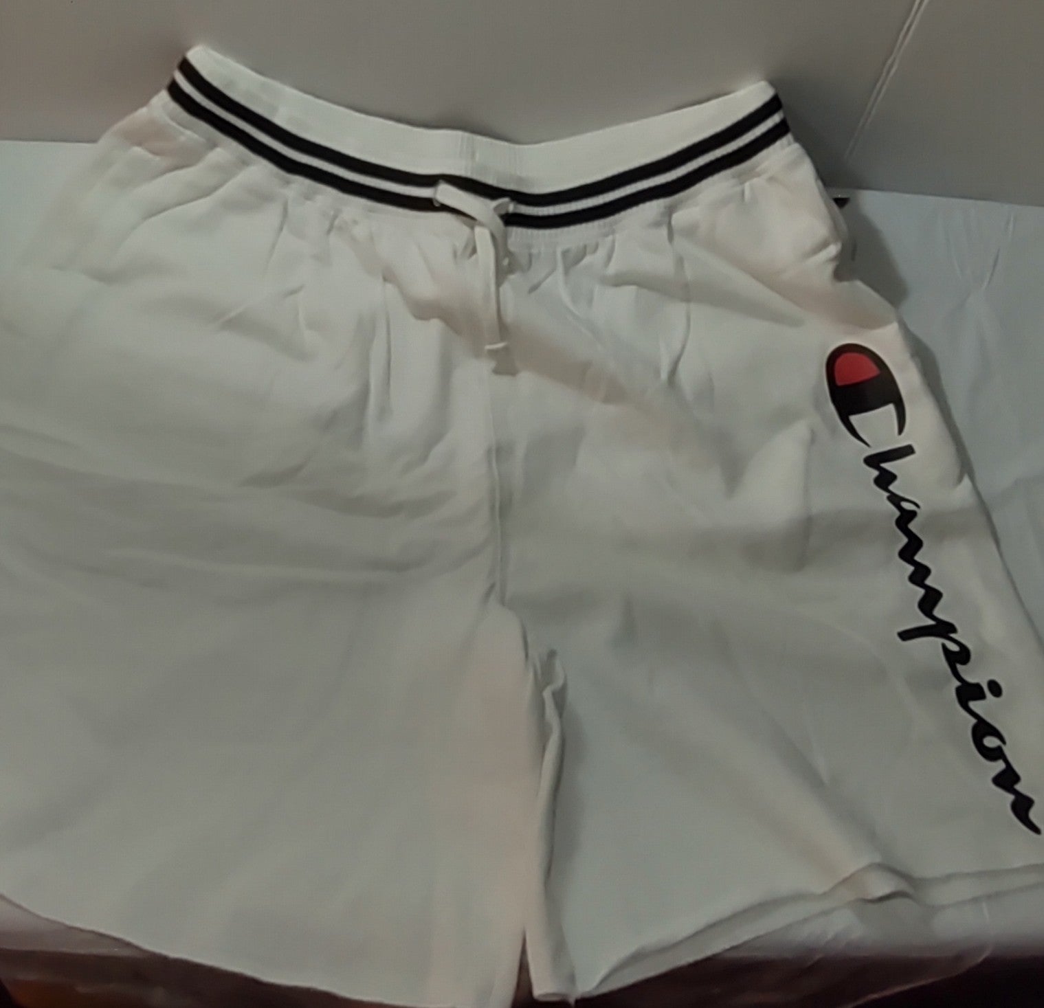 Champion Shorts
